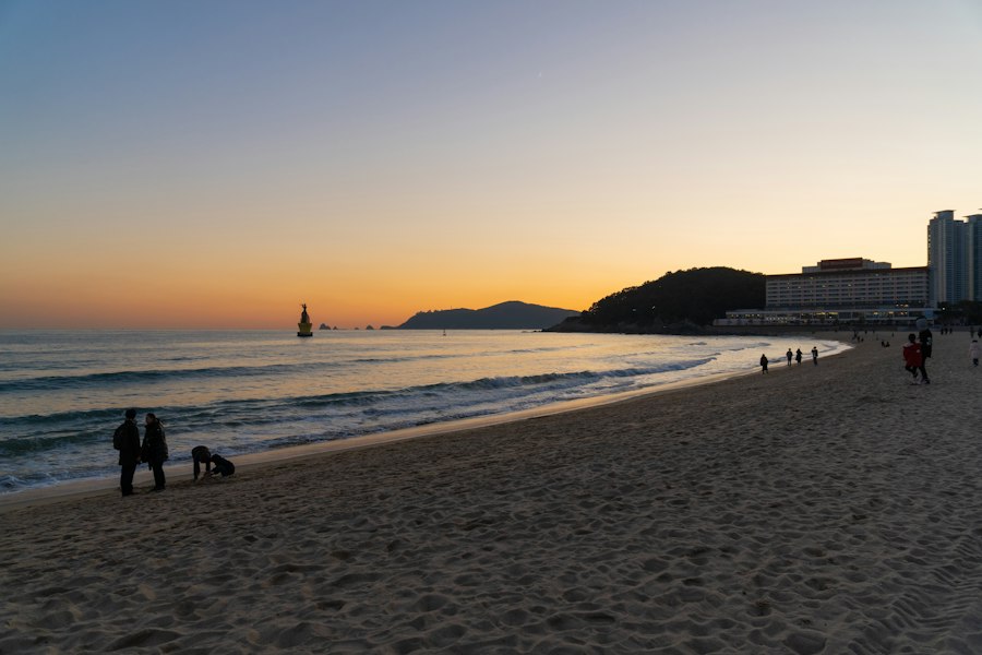 Busan Travel Guide 2026: The Best Local Tips