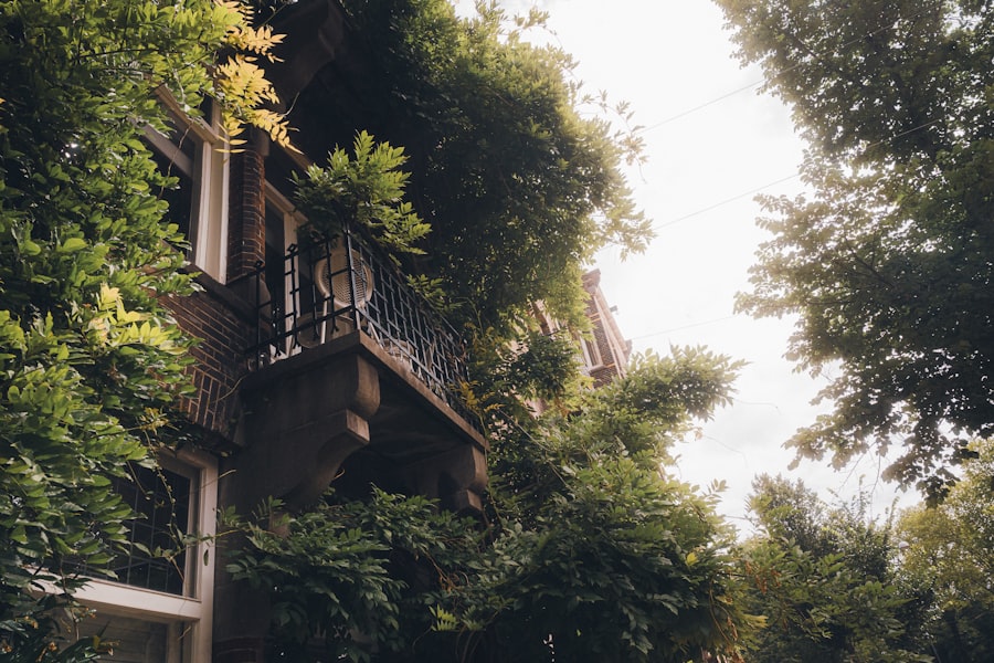 Secret Garden Amsterdam: Hidden Courtyard