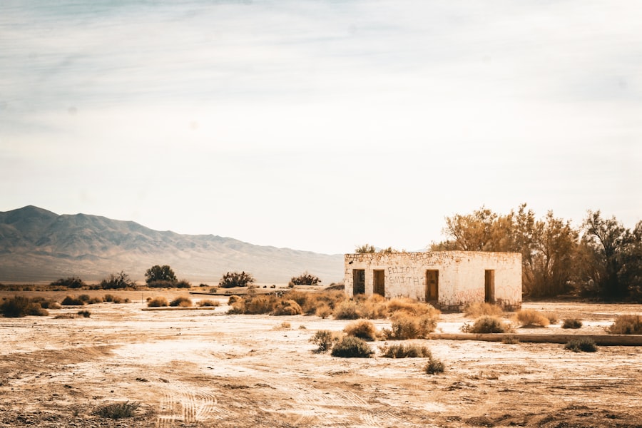 Secret Abandoned Saloon Nevada 2026