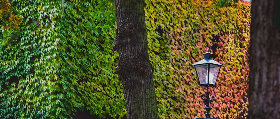 The Secret Garden Utrecht 2026 Guide