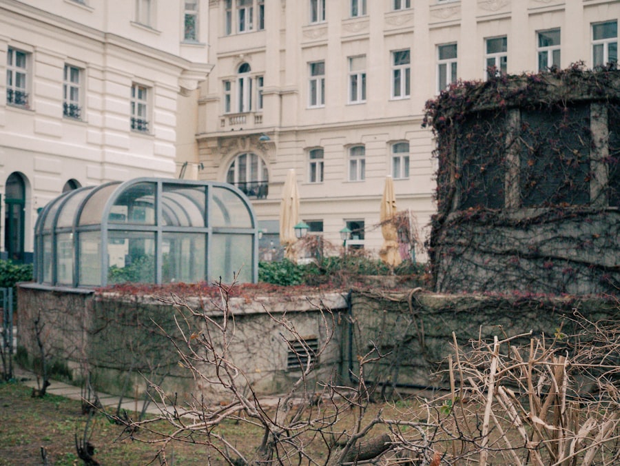 Secret Rooftop Vienna Hidden Sanctuary