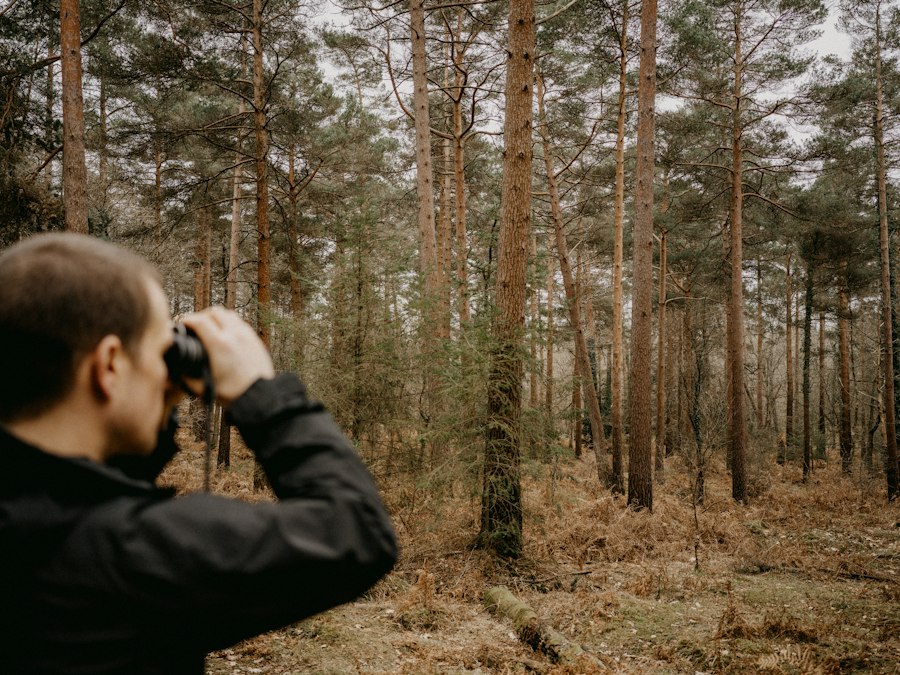 Guide to Hallerbos forest photography 2026