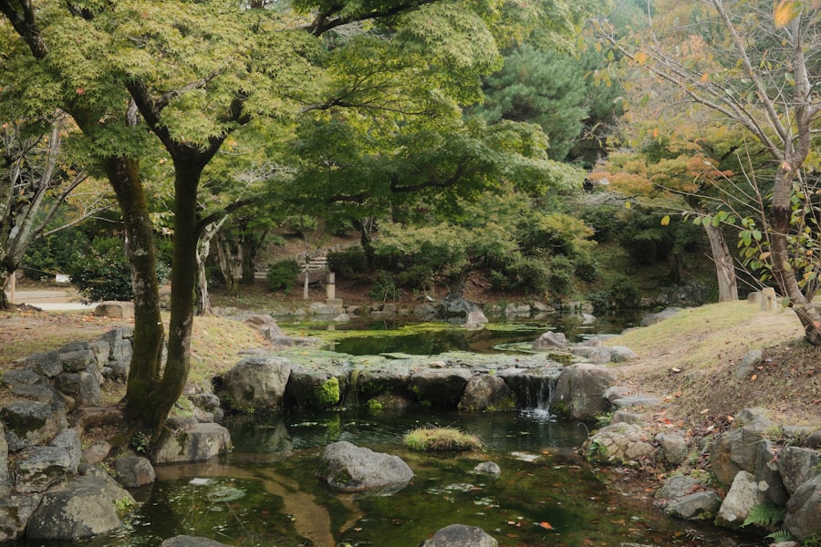 A tranquil pond with rocks and trees in autumn.