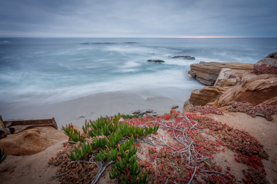 La Jolla Sunset Photography 2026 Guide