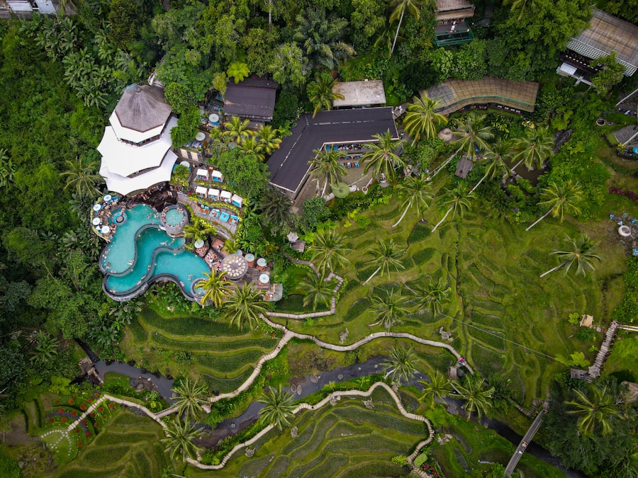 Top 5 Ubud Rice Field View Hotels 2026