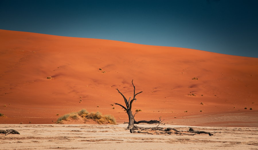 5 Minimalist Travel Photography Tips