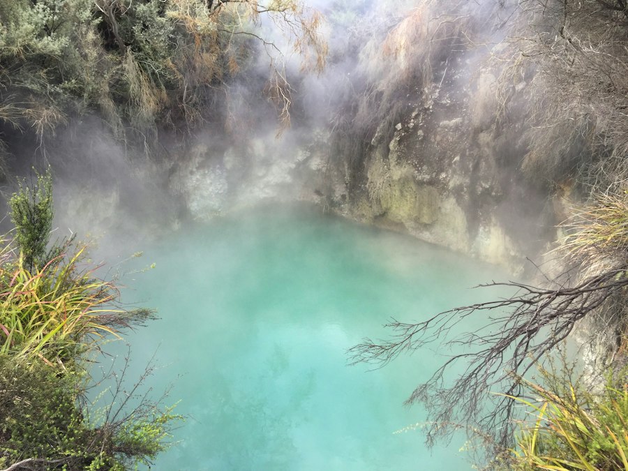 a body of water surrounded by trees and fog