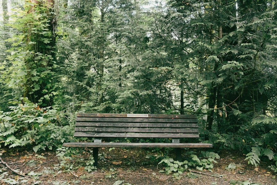 Portland Urban Forest Photography Guide