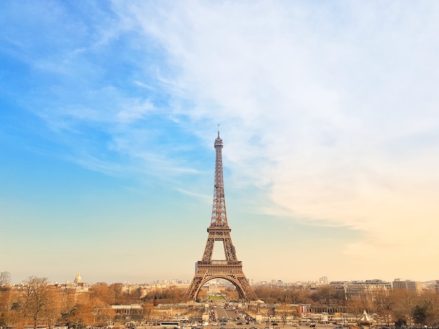 the eiffel tower towering over the city of paris