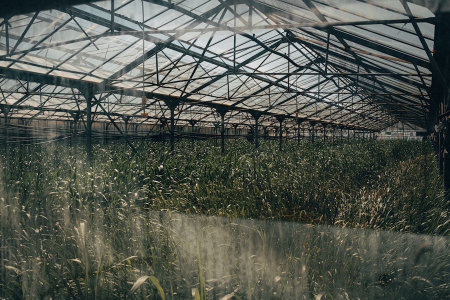 Inside the secret Rotterdam greenhouse 2026