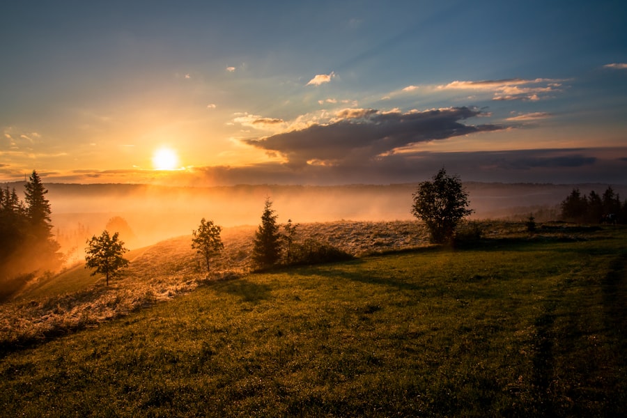 Sunstar Photography Tips for Travelers 2026