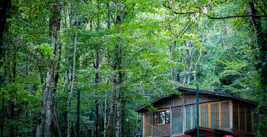 Small wooden cabin nestled in a lush green forest.