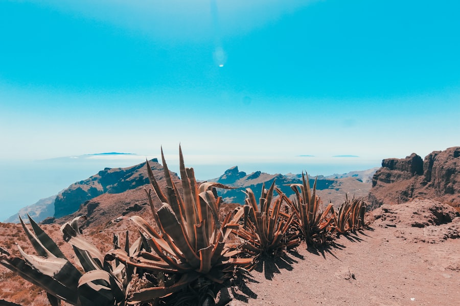 Astrophotography in Tenerife: A 2026 Guide