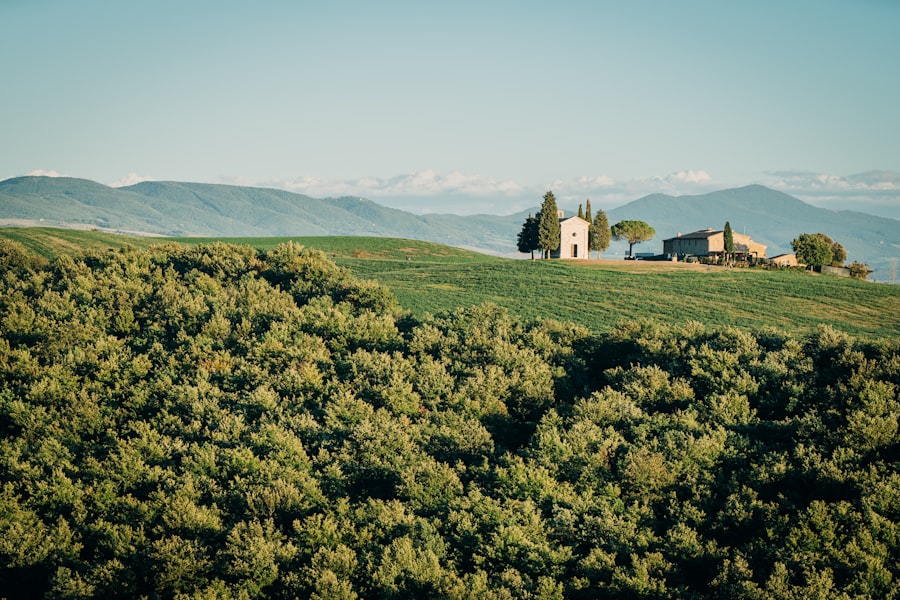 Top 5 Instagrammable Airbnbs Tuscany 2026