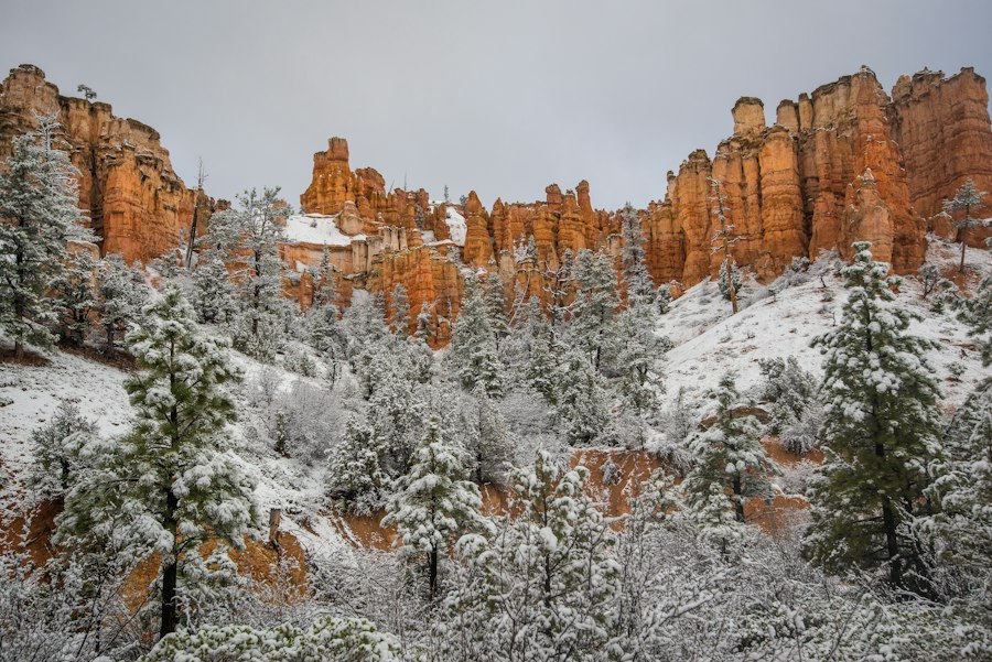 Bryce Canyon winter photography 2026 Guide