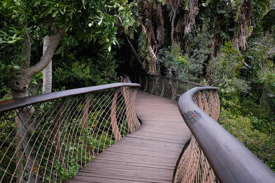 Kirstenbosch portrait spots: Visual Guide