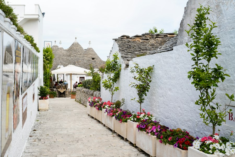 Narrow street lined with white buildings and colorful flowers