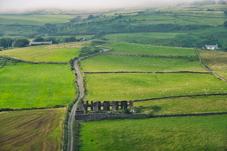 Secret Abandoned Castle Ireland