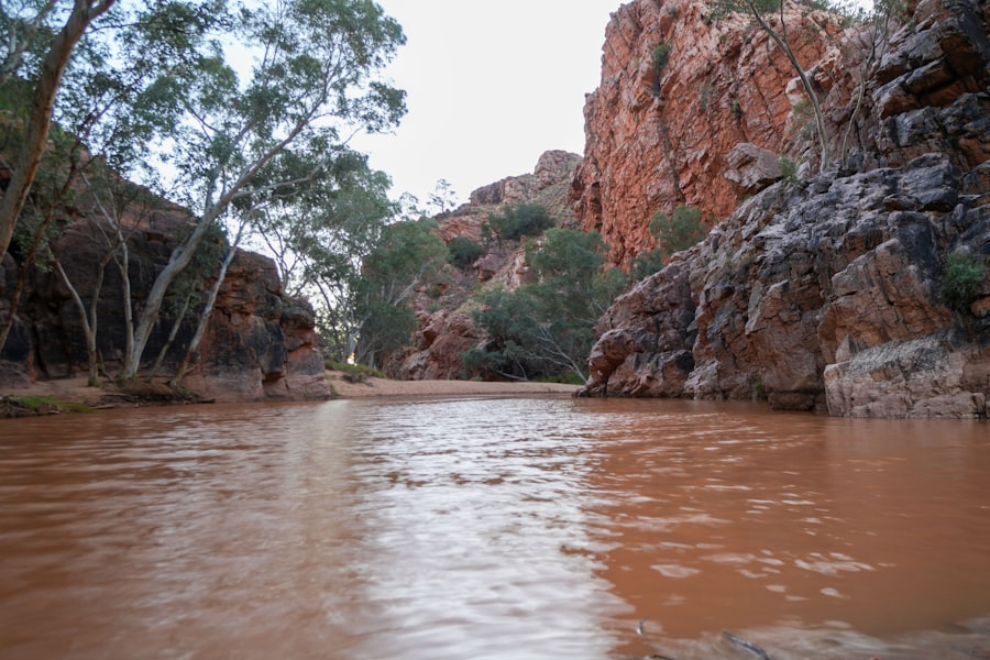 Muddy river flowing through rocky canyon with trees