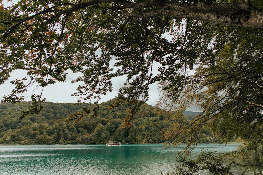 a boat on the water