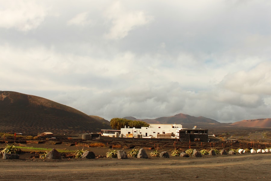 A train traveling through a rural countryside under a cloudy sky