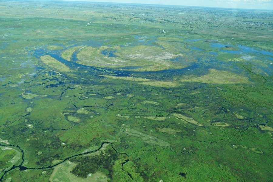 Okavango aerial photography 2026 Guide