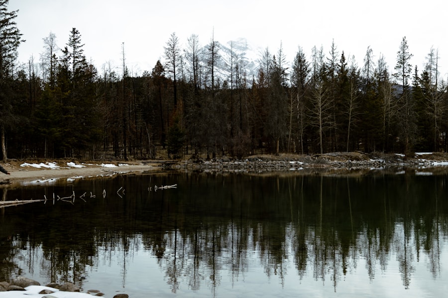Calm lake reflecting dark pine forest and distant mountain