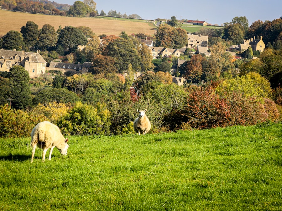 Cotswolds Slow Travel Itinerary: 3 Days