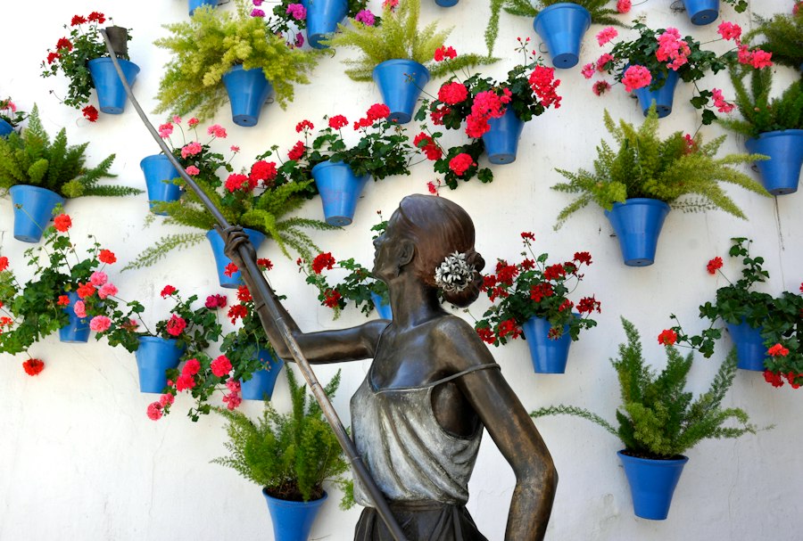 Cordoba patio photography spots: A 2026 Guide