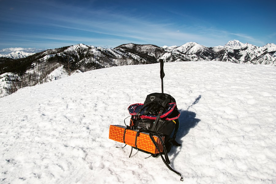 black and red stroller on snow covered ground
