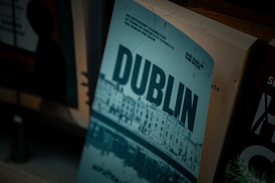 24 Hours in Dublin: Photography Loop