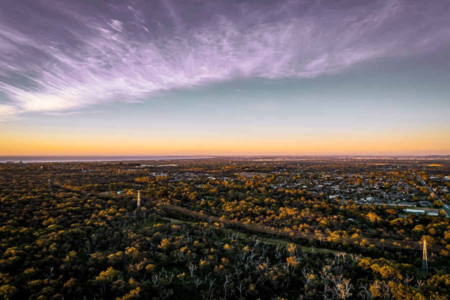 an aerial view of a city surrounded by trees