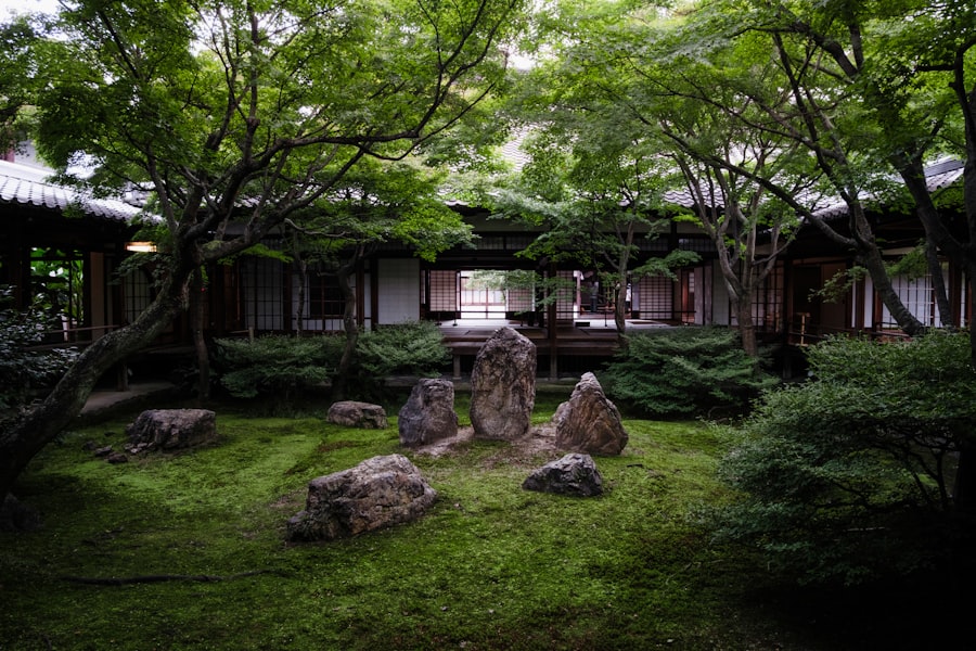 Tranquil japanese garden with rocks and lush greenery