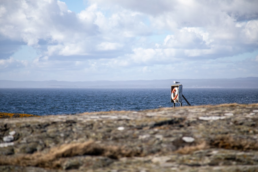 Seagull on a life preserver by the ocean