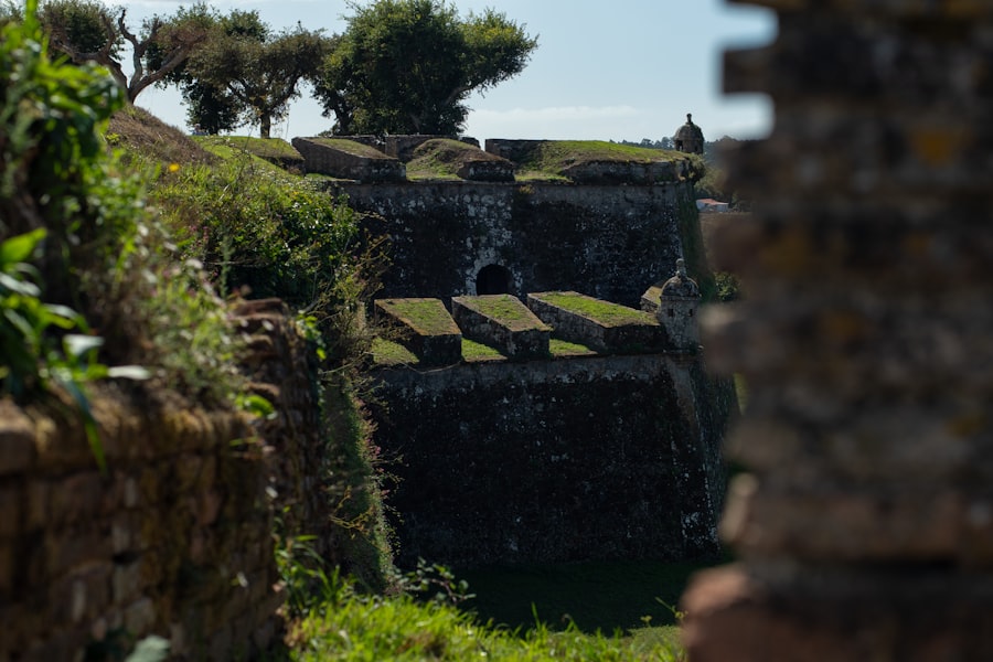 Stone fortress walls with green grass and trees.