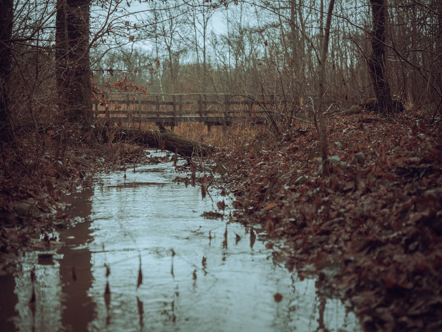 a small stream with a bridge