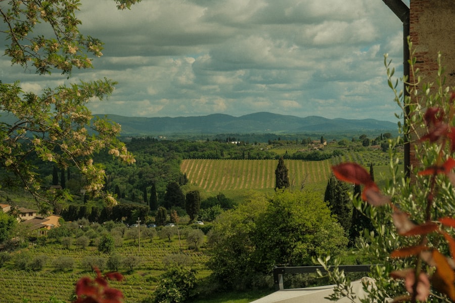 a view of a lush green valley and mountains