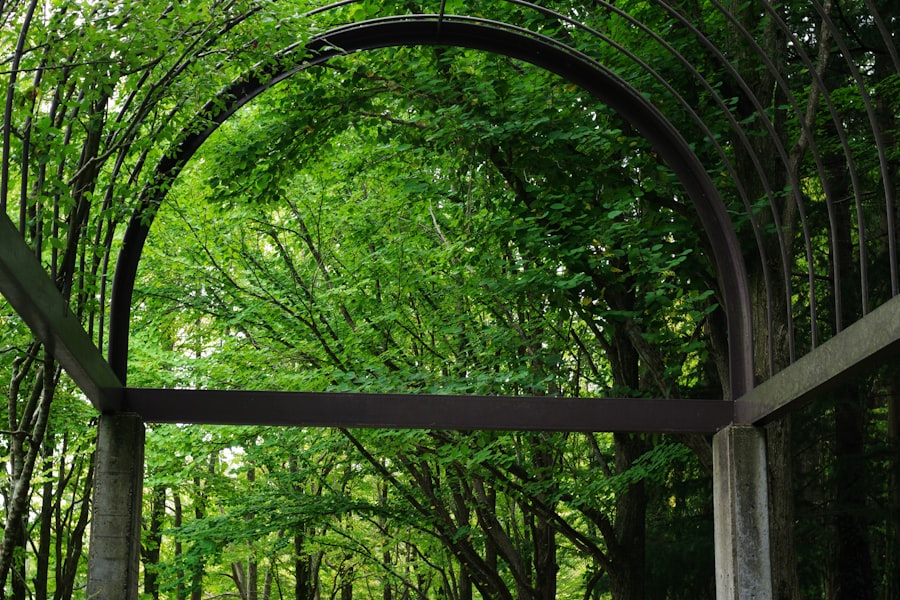 An arch in the middle of a lush green forest