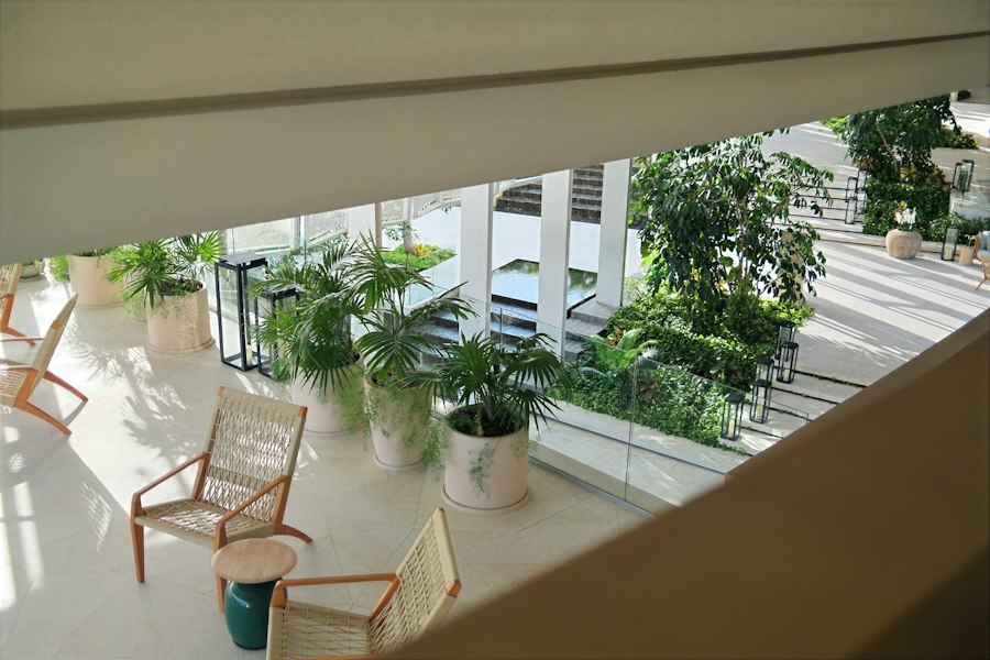 5 Best Merida Boutique Hotels 2026