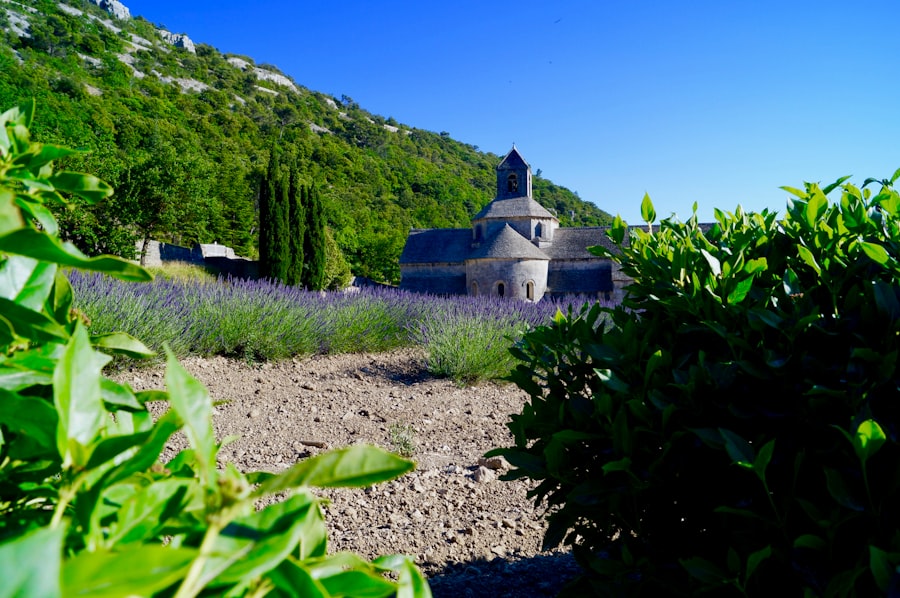 Top 10 Provence Lavender Fields Photo Spots 2026
