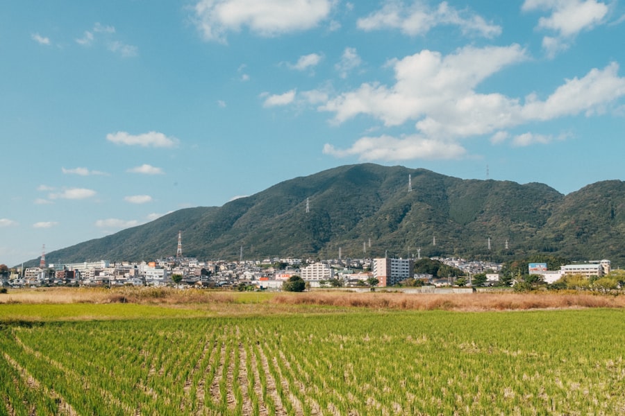 Kyushu Road Trip Itinerary 2026: Nature & Peaks