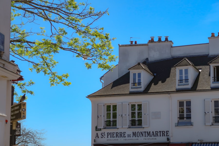 Secret Vineyard Montmartre: Why Skip Eiffel