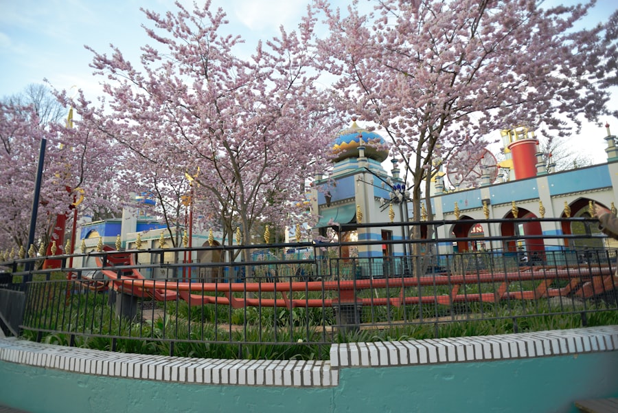 Pink cherry blossoms frame colorful amusement park structures.