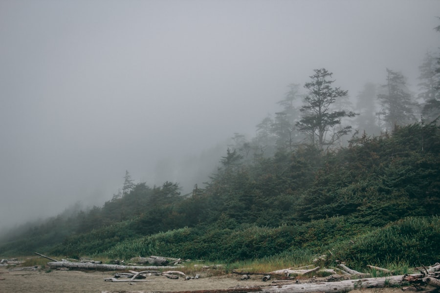 Tofino Seascape Photography 2026 Guide