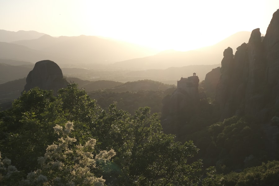 a landscape with trees and mountains