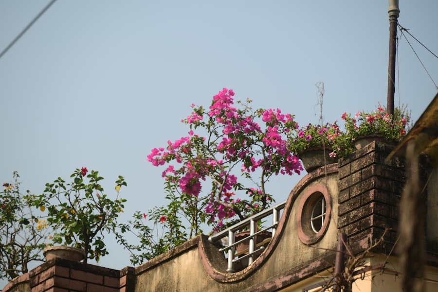 Flowering plants adorn the top of a building.