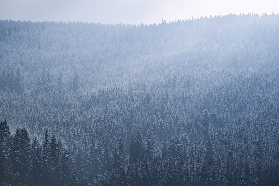 7-Day Black Forest Road Trip 2026: Landscape Guide
