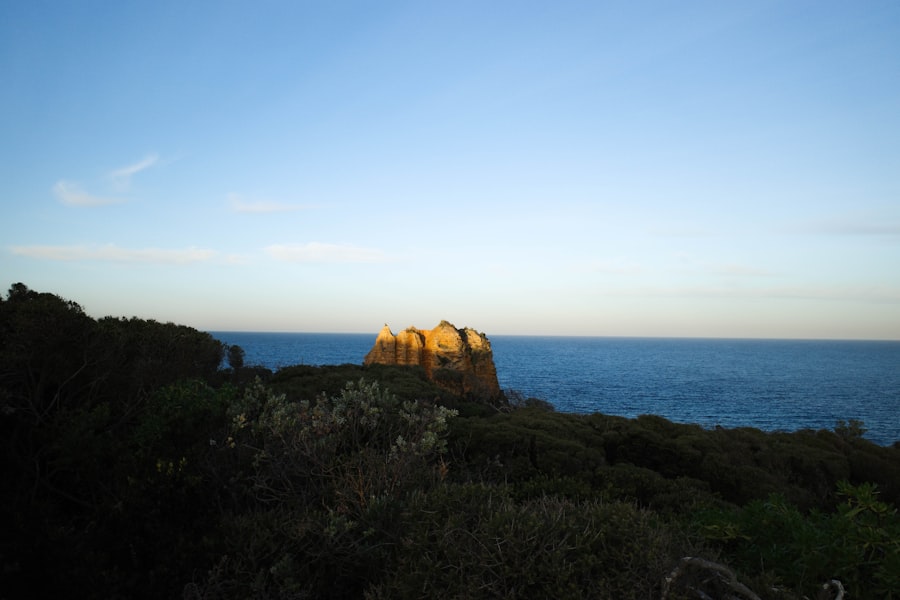 A golden rock formation rising above dark coastal scrub against the blue ocean