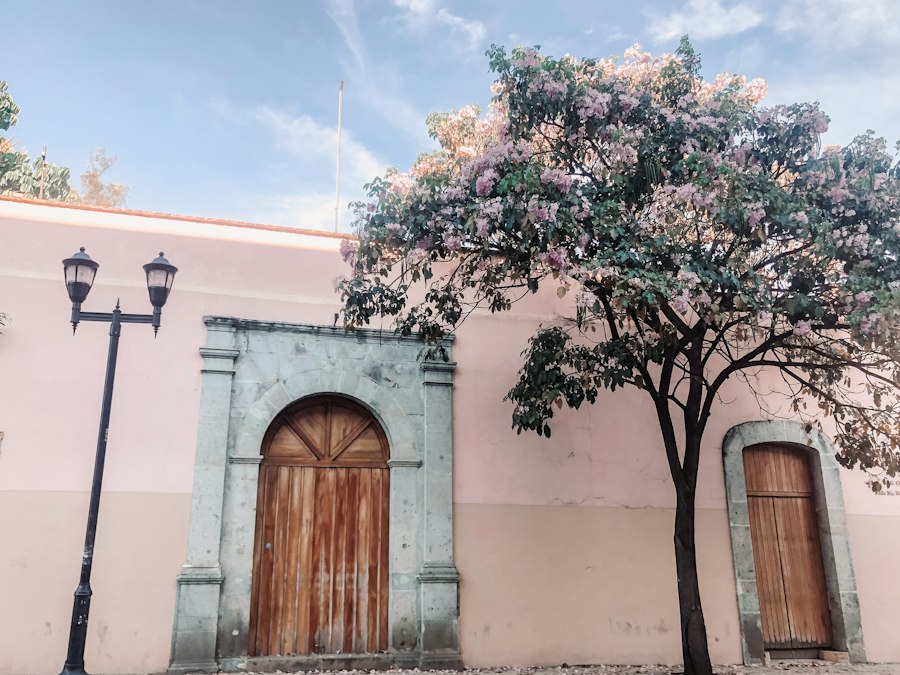 Best Oaxaca portrait spots for Creators