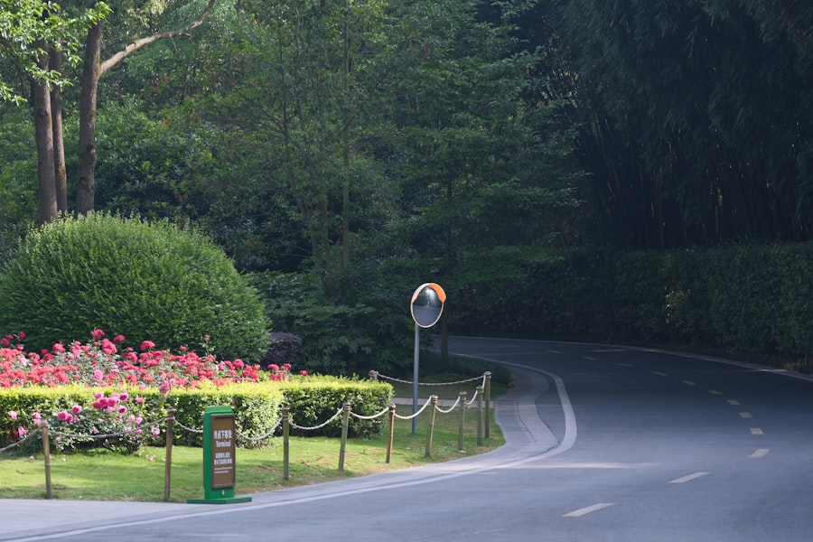 7-Day Garden Route South Africa Road Trip 2026